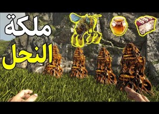 Taming The Queen Bee Sheep Farm Farmhouse Ark Survival Evolved 22