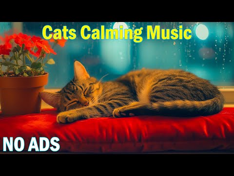 Calming Music For Cats Sleep Music For Cats No Ads Sleep Music For Anxious Cats