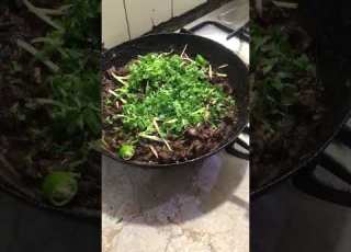 Tawa Kaleji توا کلیجی Amaizing Try Easy Simpleingredients Musttry Eidspecial Kulsoomkitchen
