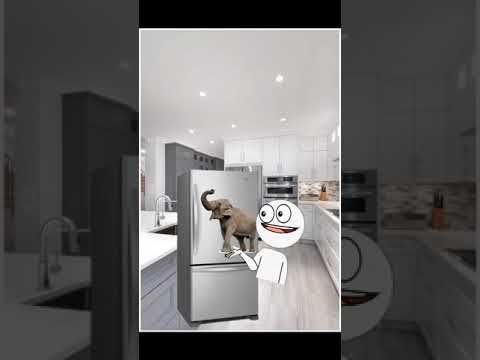 حزورة الفيل والزرافة The Elephant And The Giraffe Puzzle Pt1 حزورة الفيل والزرافة The Elephant And The Giraffe Puzzle Pt1