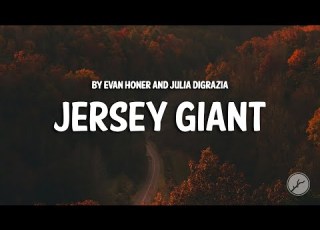 Evan Honer Julia DiGrazia Jersey Giant Lyrics