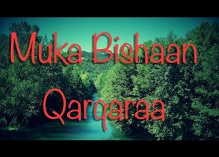 Muka Bishaan Qaraqaraa Walaloo Dhufeeraa Birraasaa