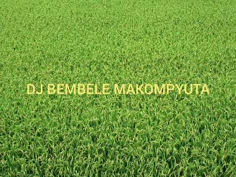 NKIMBILI NGWAMVA SONG SALE SALE 2026 AUDIO MPYA 0740176404 NKIMBILI NGWAMVA SONG SALE SALE 2026 AUDIO MPYA 0740176404