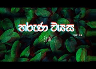 Sithi J Tharuna Wayasa තර ණ වයස Lyrics Video Sithij