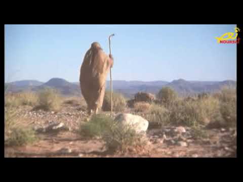 ترنيمة ايلي ا النبي البار جورج النمنم تيلي لوميار