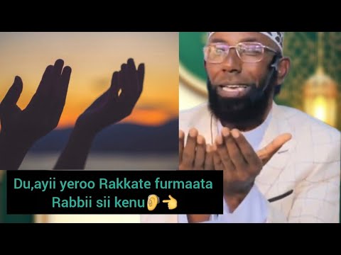 Sheihk Amin Ibroo Du Ayii Yeroo Rakkate Furmaata Rabbii Sii Kenu Fi Dhamsa Bareeda Hanga Dhumaati Sheihk Amin Ibroo Du Ayii Yeroo Rakkate Furmaata Rabbii Sii Kenu Fi Dhamsa Bareeda Hanga Dhumaati