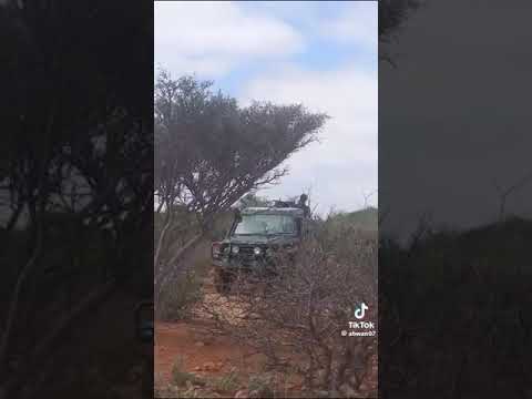 Dagaalki Sacad Iyo Leelkase Ciidanki Ma Gabadayaasha Leelkase