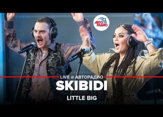 Little Big SKIBIDI LIVE Autoradio