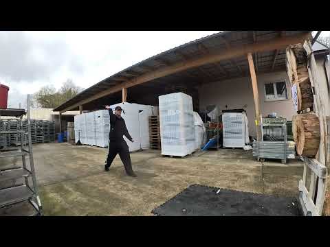 Halfspin Session Across Several Styles