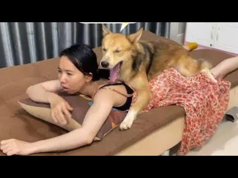 Mbwa Na Binaadam Wakifanya Yao Tazama