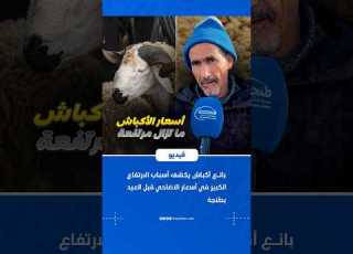 بائع أكباش يكشف أسباب الارتفاع الكبير في أسعار الأضاحي قبل العيد بطنجة