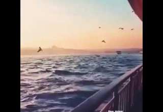 عمر دياب و بينا معاد حاله واتس اب بجنن