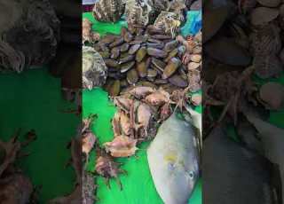 Tabo Or Market Day Food Market