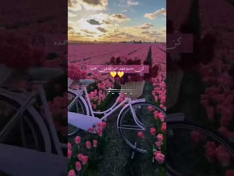 راحه نفسية حالات واتس اب صباحية صباحيات قرآن