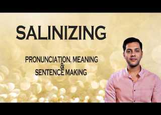 SALINIZING Meaning Pronunciation Word World Audio Video Dictionary