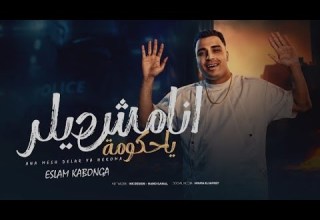 موسيقى مهرجان اسلام كابونجا أنا مش ديلر يا حكومة