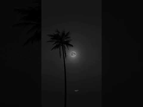 وديع مراد قمر الزمان ياما ليالي القمر العالي وديع الصافي اكسبلور تسعينات استوريات قمر الزمان