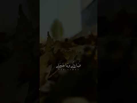 بكت عيني على ذنبي