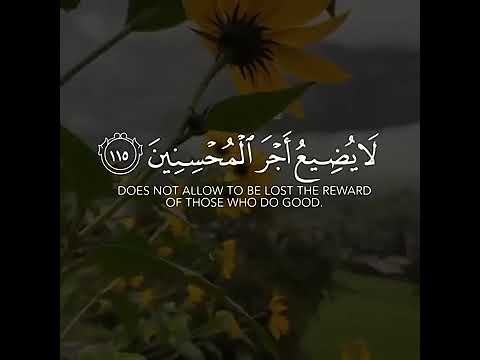 قرآن حالات واتس آب آيات قرآنية قصيرة القرآن الكريم الصبر