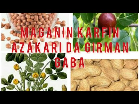 Maganin Kara Karfin Azakari Da Girman Gaba
