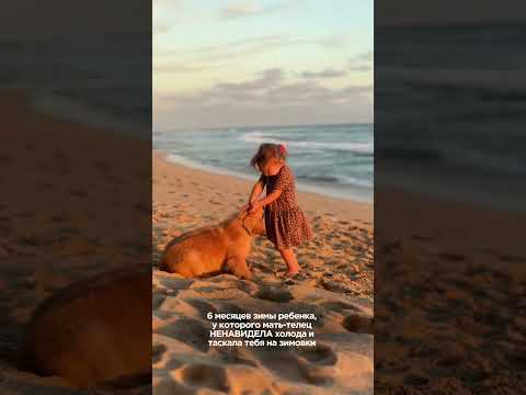 Тяжелая жизнь моего ребенка зимовка шриланка