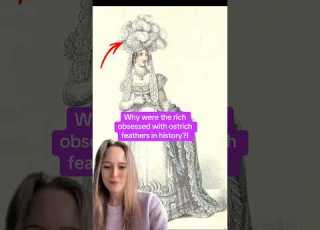 Why Were The Rich Obsessed With Ostrich Feathers In History 18thcentury History