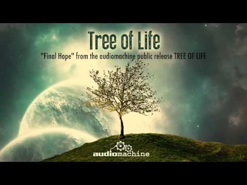 Audiomachine Final Hope