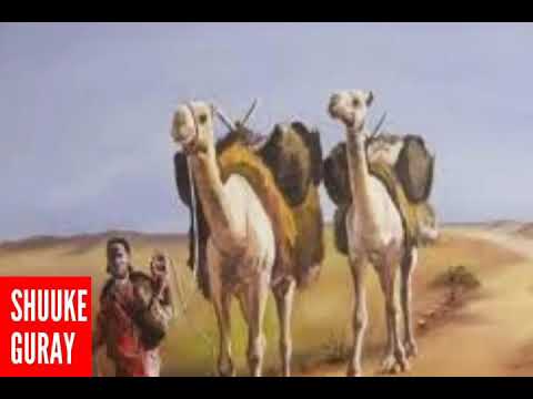 Gabay Aad U Macaan Badan Abwaan Dhoodaan Gabay Aad U Macaan Badan Abwaan Dhoodaan