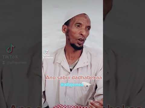 Shehk Badiruddin Jimma