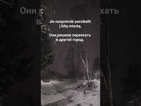 Jie Nusprendė Persikelti į Kitą Miestą Они решили переехать в другой город Lietuviųkalba