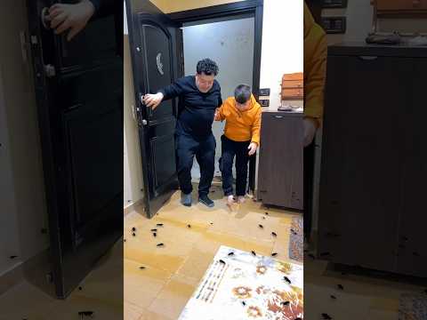 صراصير بالبيت Funny Issahajaj