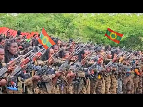 Dubii Jajjabduu Yerro Amma Dema Jirrtu March 28 2026