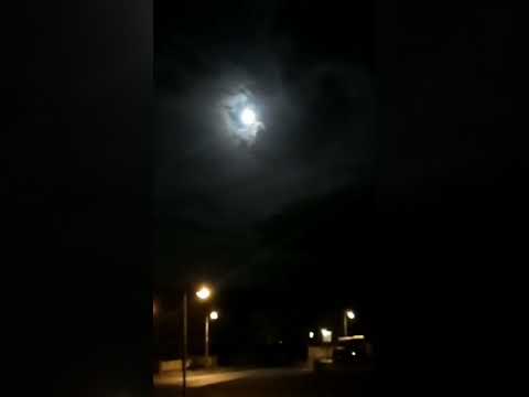 في حب في وجد عبدالله الجارالله