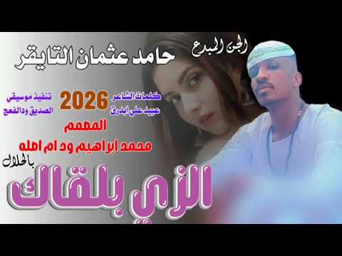 جديد 2026الفنان حامد عثمان التايقر الزي بلقاك بالحلال