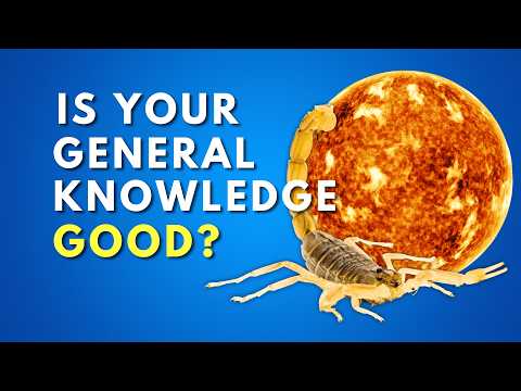 75 General Knowledge Trivia Quiz Questions EVERYONE Should Know These Do You