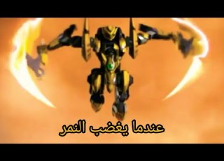 عندما يغضب النمر