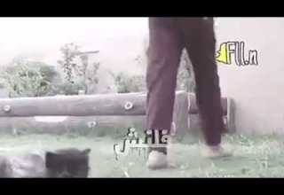 جزاء الثنيان