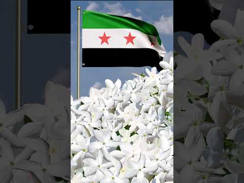 دوري يا فرحة ع الحبايب دوري الشام فت ح ياسمين وجوري سوريا اكسبلور فضل شاكر