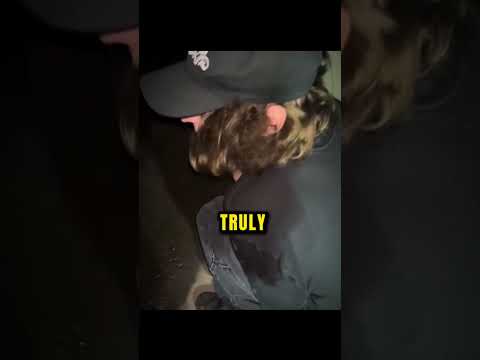 They Thought It Was Their Friend