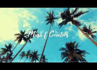  Palm Trees MBB TROPICAL HOUSE MUSIC