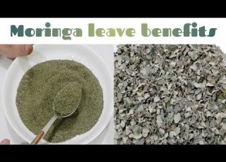 مورنگا کے پتوں کے فائدے سہانجنا کے پتوں کے فوائد Moringa Powder Benefit