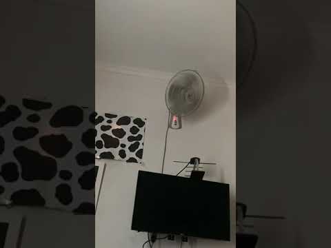 Noisy Cosmos Wall Fan WFCR 16 Shorts