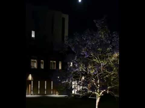 تفاصيلك خذتني لك