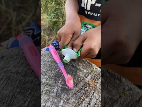 SMART Idea And USEFUL With Toothpaste Bushcraft Camping Outdoors