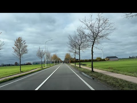 الشاب ميمون الوجدي دير يقينك في الله Cheb Mimoun El Oujdi Dir Yakinek Fellah