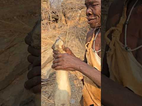 Shagembe Dudukwe Chaaba Hadzabetribe Foryou Africancrazylife Viralvideo Wildlife Africa Fyp