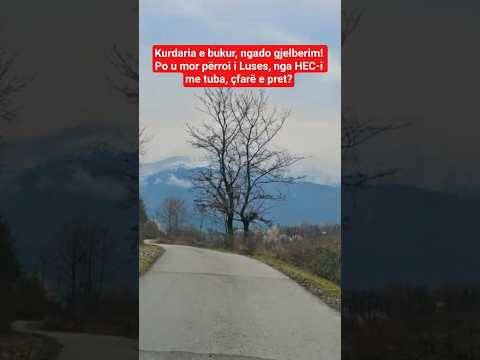 Kurdaria E Bukur Ngado Gjelberim Po U Mor Përroi I Luses Nga HEC I Me Tuba çfarë E Pret