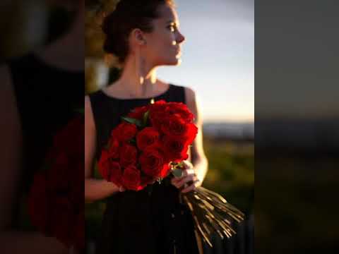 حبيبي اللي بحبه سيد مكاوي