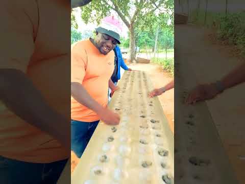 This Ncuva Game Was CRAZY From The First Second This Ncuva Game Was CRAZY From The First Second