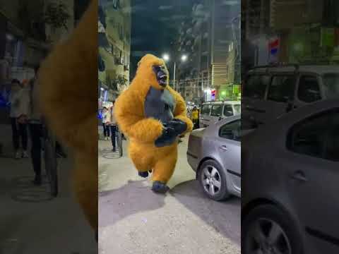 المشاغبين Explore اكسبلور فولو Artist رقص مهرجان Acrobatics Funny Dance المشاغبين Explore اكسبلور فولو Artist رقص مهرجان Acrobatics Funny Dance